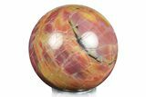 Rainbow Colored, Polished Petrified Wood Sphere - Arizona #246249-1